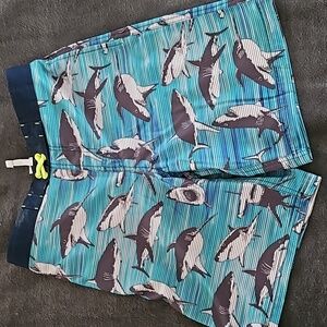 Boy's Bathing Suit